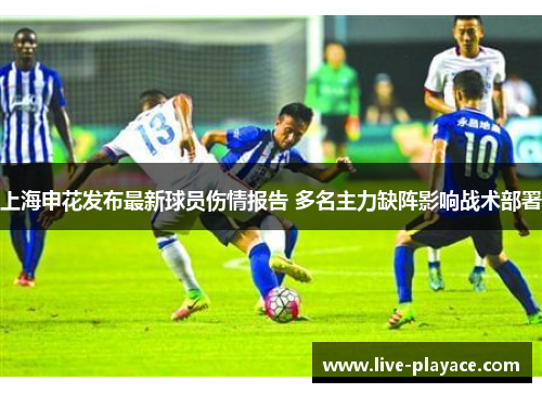 上海申花发布最新球员伤情报告 多名主力缺阵影响战术部署