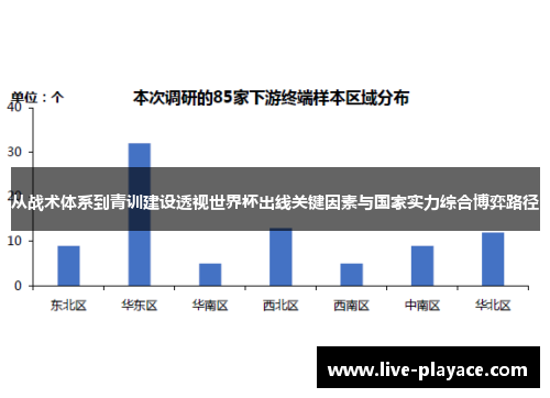 从战术体系到青训建设透视世界杯出线关键因素与国家实力综合博弈路径