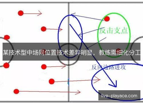 某技术型中场同位置技术差异明显，教练需细化分工